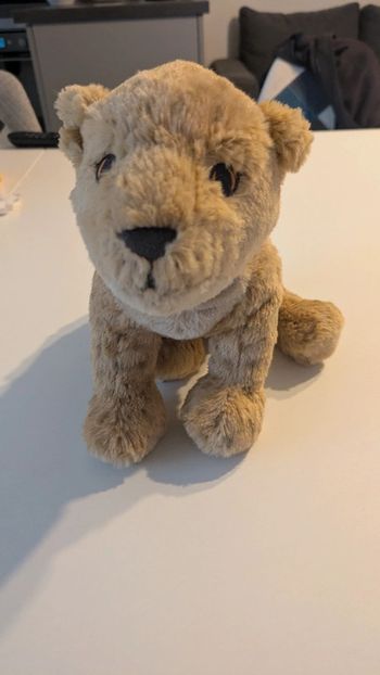 Peluche lionceaux
