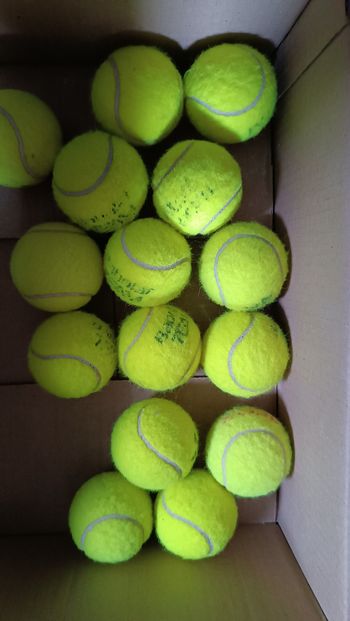 Lot de balle de tennis