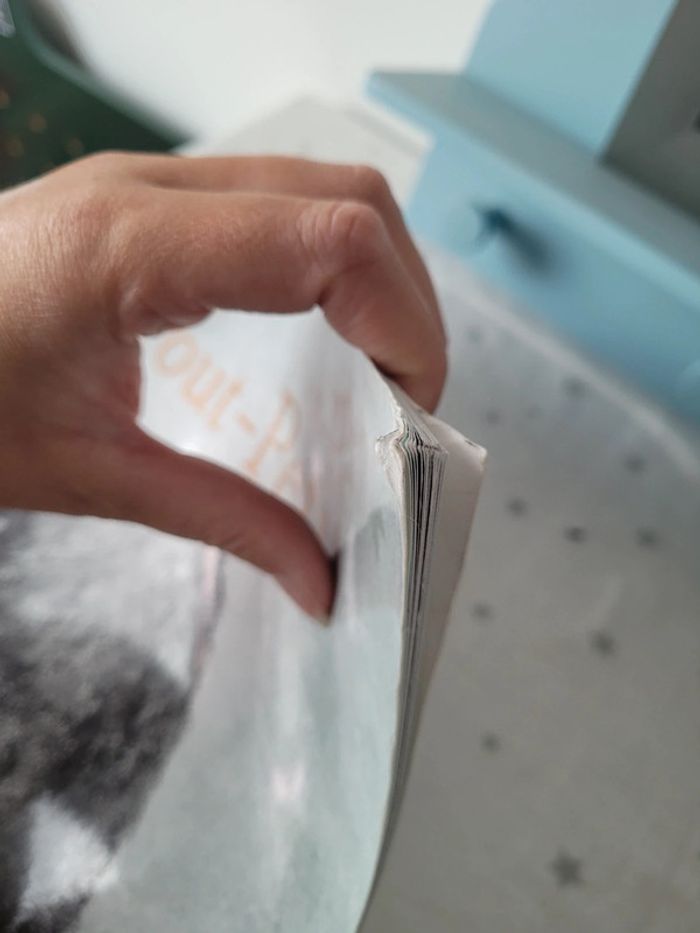 Livre mon tout petit école des max - photo numéro 3