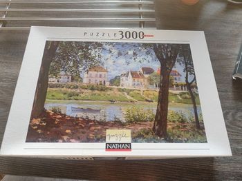 Puzzle 3000 pieces