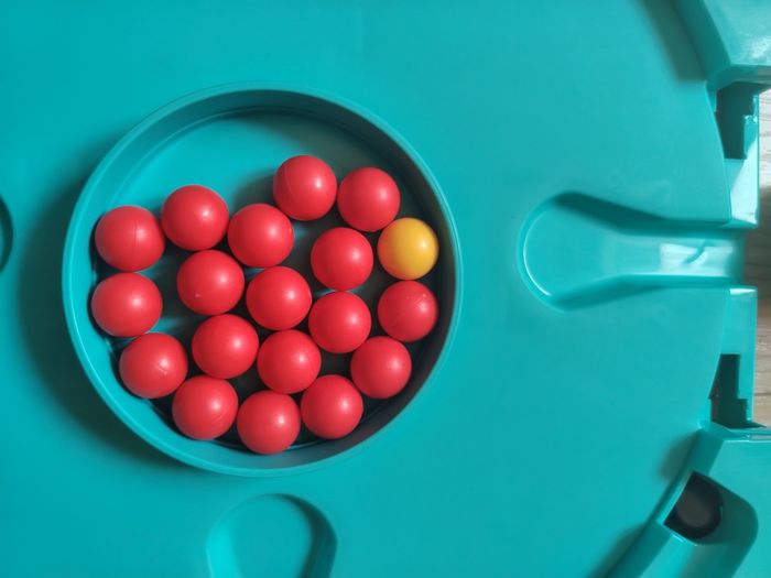 Hippos gloutons - photo numéro 4