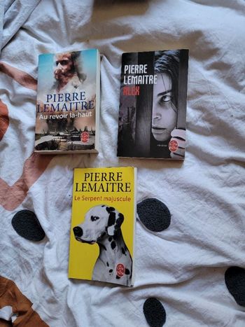 Livres de poche Pierre Lemaitre