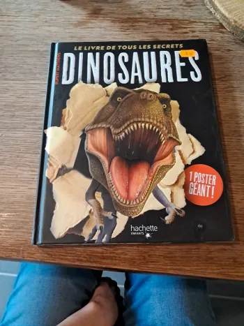 Livres enfant sur les dinosaure