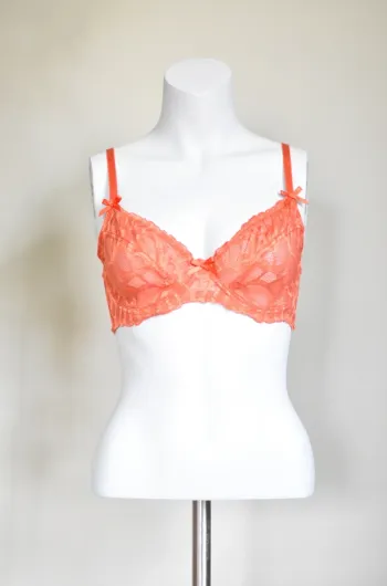 Soutien Gorge en taille 90C