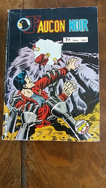 Bd enfant faucon noir