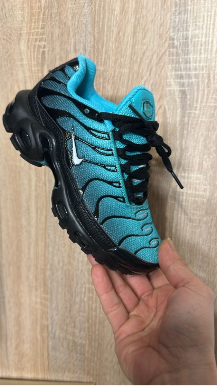 Tn turquoise