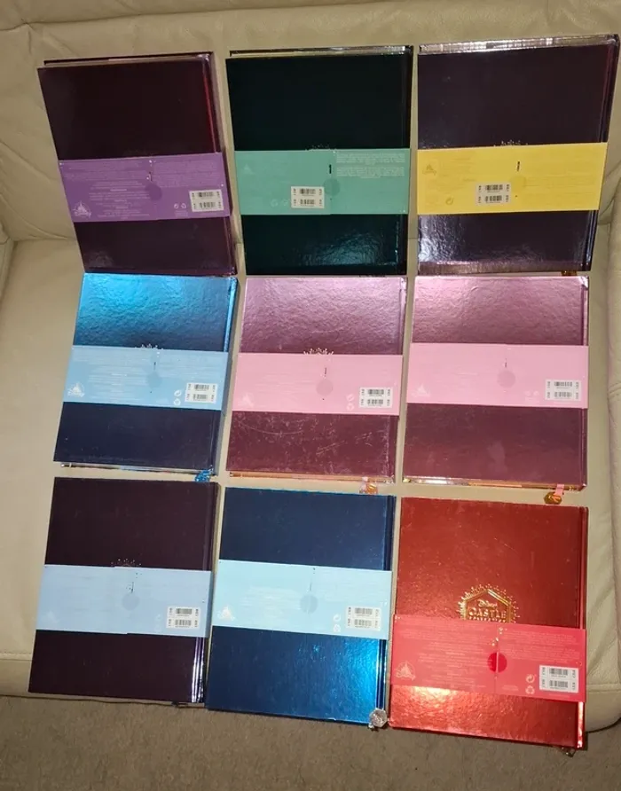 Lot de carnets livres cahiers castle collection disney princesse - photo numéro 13