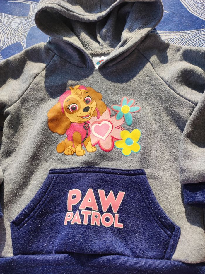Sweat Paw Patrol