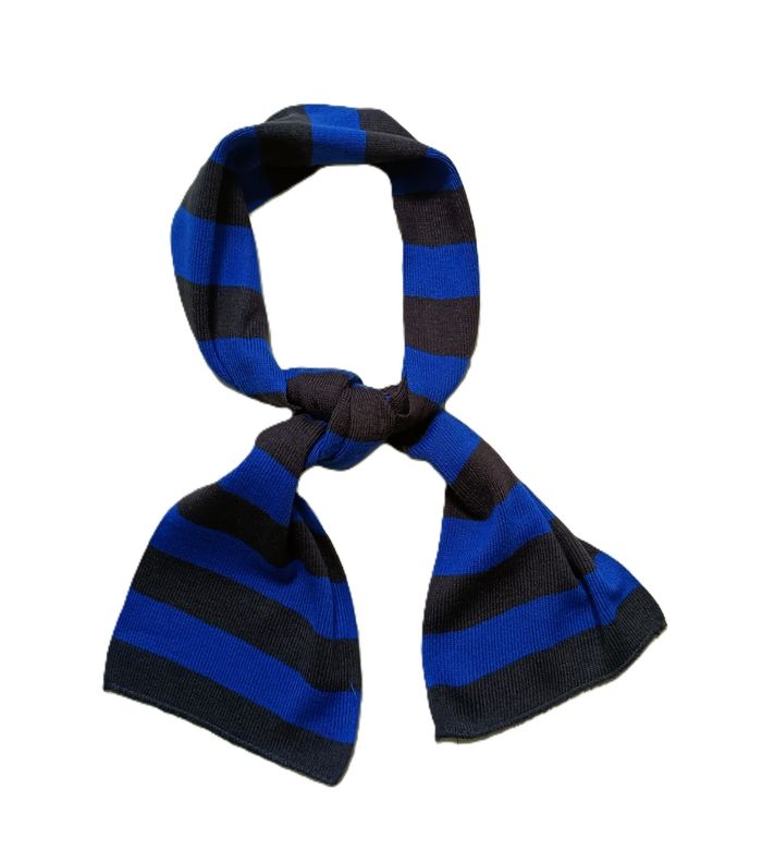 Echarpe rayée bleu et noir. Acrylique. 140 x 17 cm
