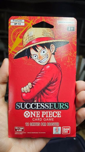 Booster sous blisters One Piece OP13 FR