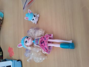 lapin