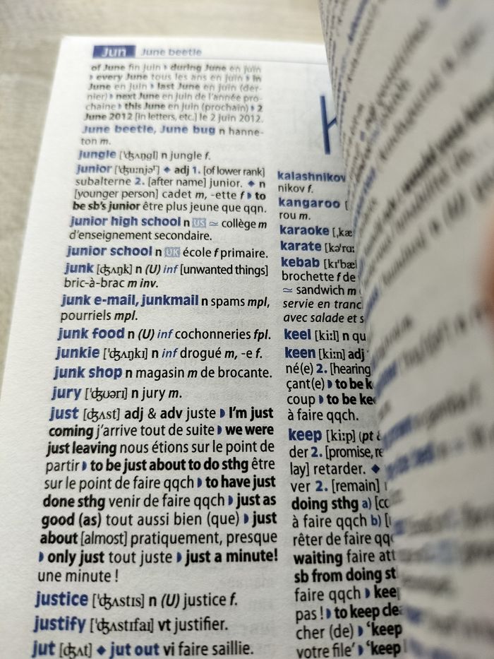 Mini dictionnaire - photo numéro 3