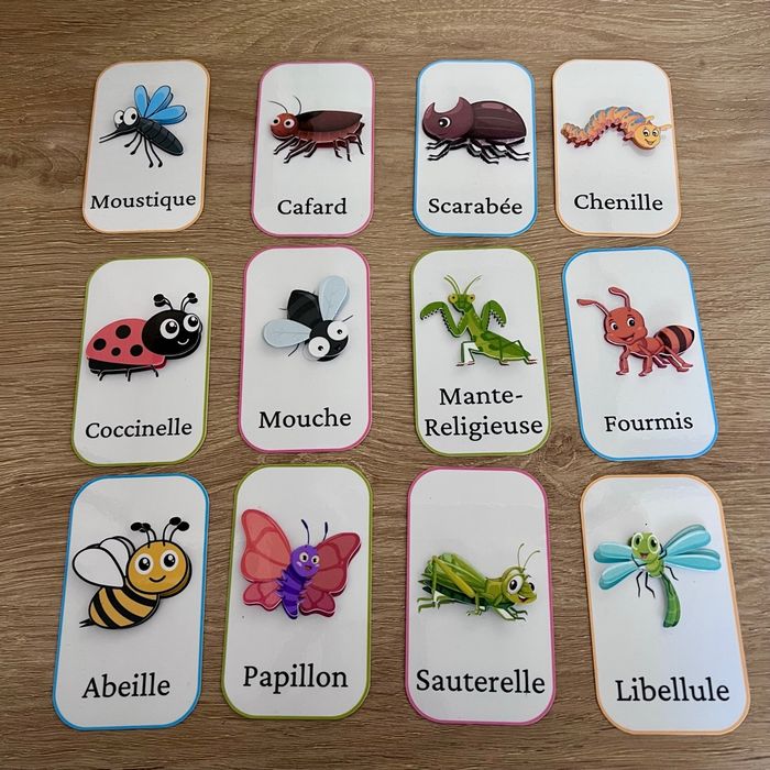 Jeu insectes - photo numéro 3