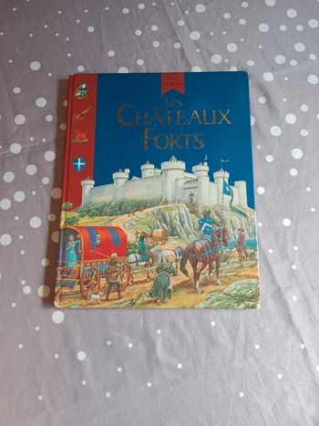 Livre sur les châteaux forts