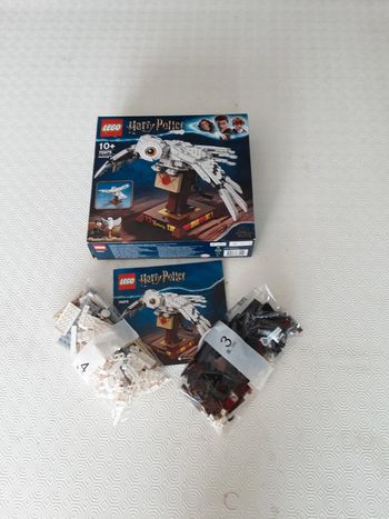 Lego Harry Potter 75979