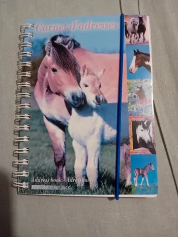 Carnet d'adresse