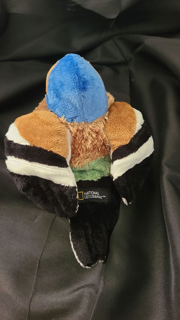 National Geographic Peluche Oiseau Pinson des Arbres Chanteur - 15 cm - photo numéro 4