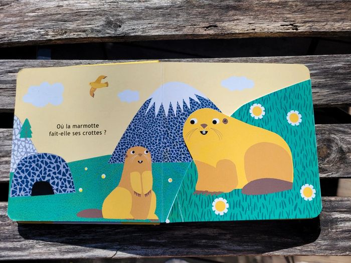 Très joli livre à volets, éditions Sarbacane, Et toi, où tu fais caca? (71) - photo numéro 5