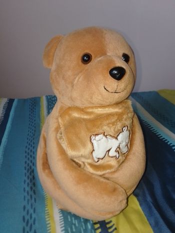 Ourson avec couverture