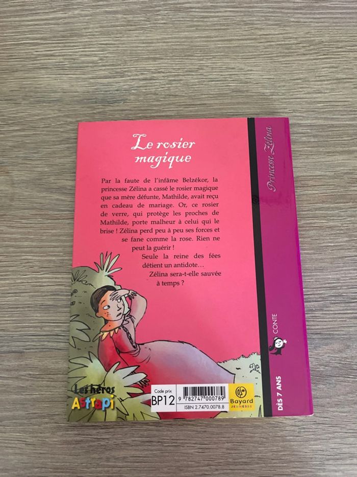 Lot de 3 livres princesse zelina - photo numéro 6