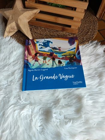 Livre McDo la grande vague Hachette