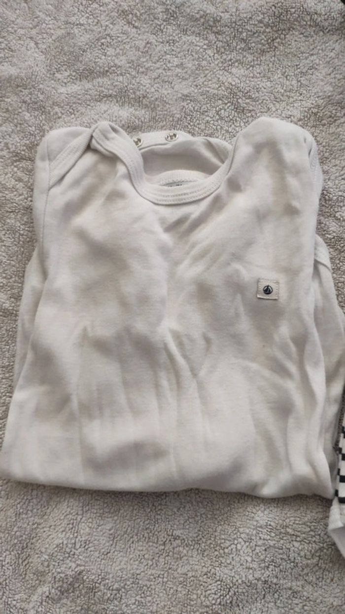 Lot de 3 bodies 24 mois petit Bateau - photo numéro 2