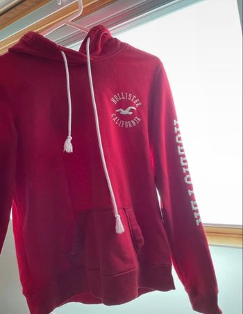 Sweat Hollister femme 