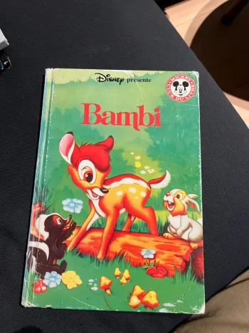 Livre pour enfants Disney club du livre bambi