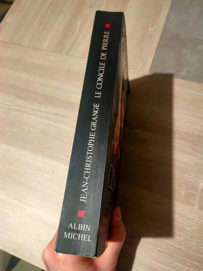 Le concile de pierre - photo numéro 4