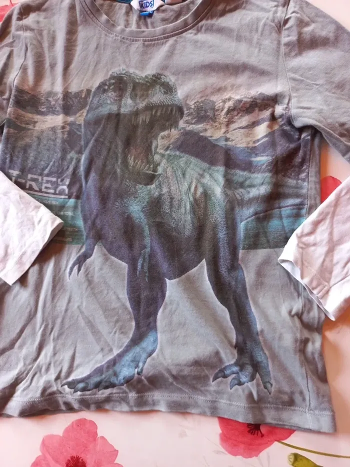 Pull fin dinosaure 9/10 ans - photo numéro 2