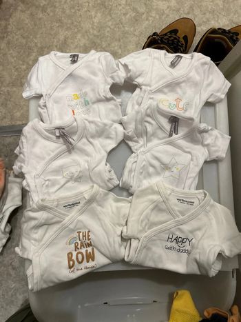 6 bodies