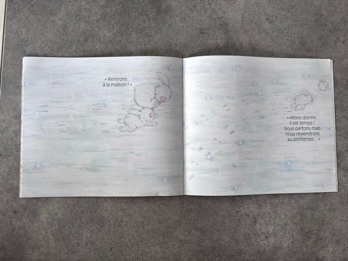 Livre « neige » - photo numéro 8