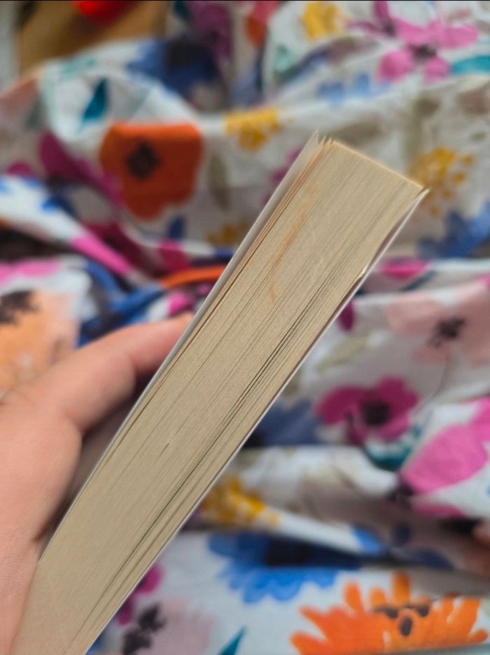 Le mystère Jubillar - Ronan Folgoas - photo numéro 3