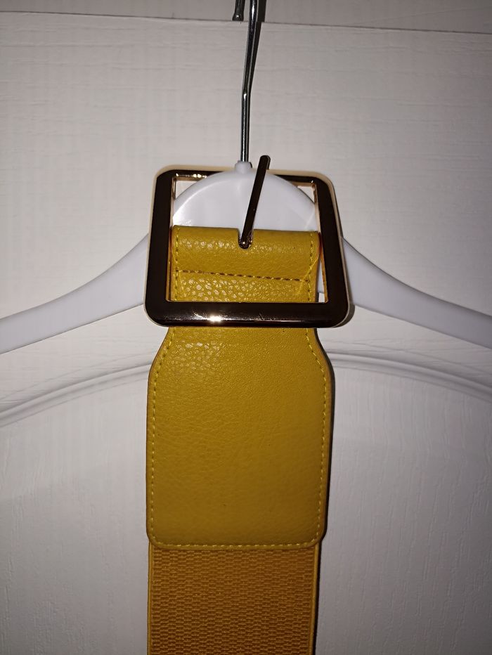 Ceinture 42 et plus - photo numéro 3