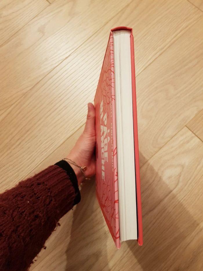 Livre la page blanche - boulet et Pénélope bagieu - photo numéro 4