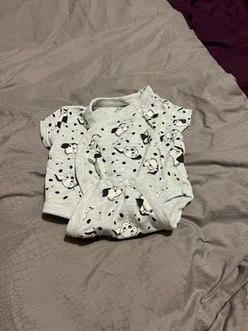 Body dalmatien