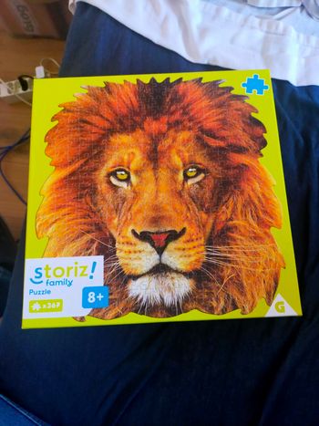Puzzle lion