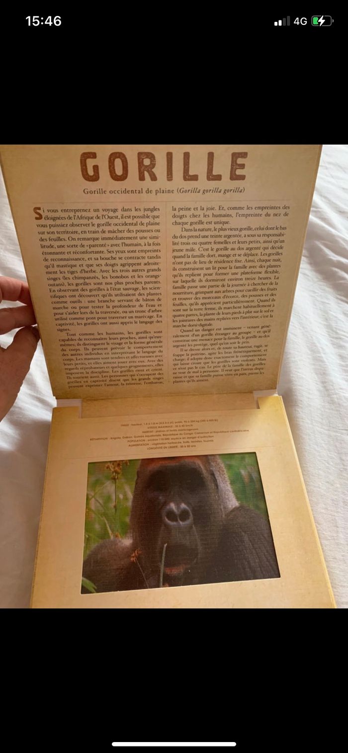 Livre photicular safari - photo numéro 3