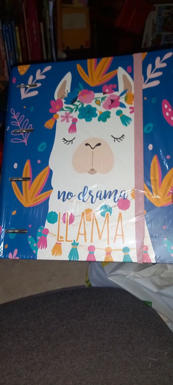 Classeur neuf carton