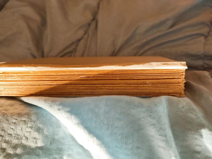 Livre ancien "L'élu - Van der Meersch - photo numéro 4