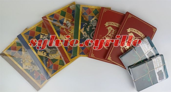😱😱 ⚡⚡ Important lot Harry Potter journaux et carnets ⚡⚡ 😱😱