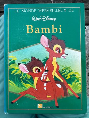 Livre album ancien Le monde merveilleux de Bambi Walt Disney Nathan Jeunesse