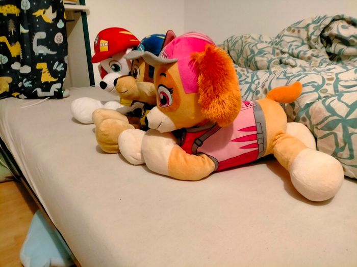 Lot pat patrouille - photo numéro 2