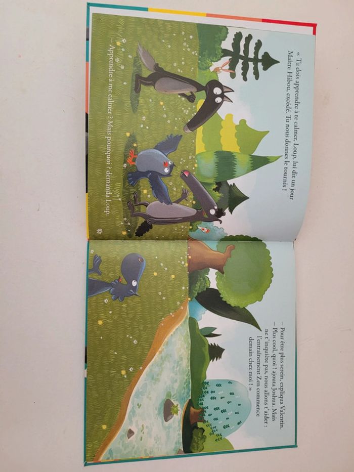 Lot de 4 livres Le loup par Auzou - photo numéro 3