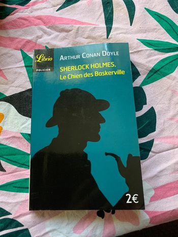 Le chien de Baskerville