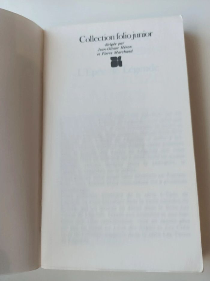 Livre dont vous êtes le héros n°620 épée de légende 1 les treize mages - photo numéro 8