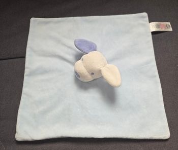 Doudou chien carre plat bleu - Primark