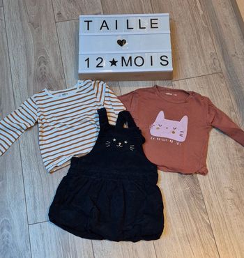 Lot robe en velours bleu marine et 2 tee shirts imprimés motif chat taille 12 mois