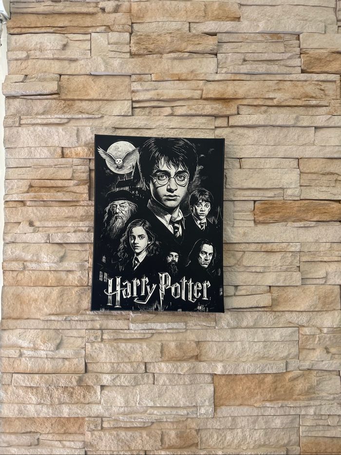 Tableau personnages Harry Potter en toile 30x40cm - photo numéro 2