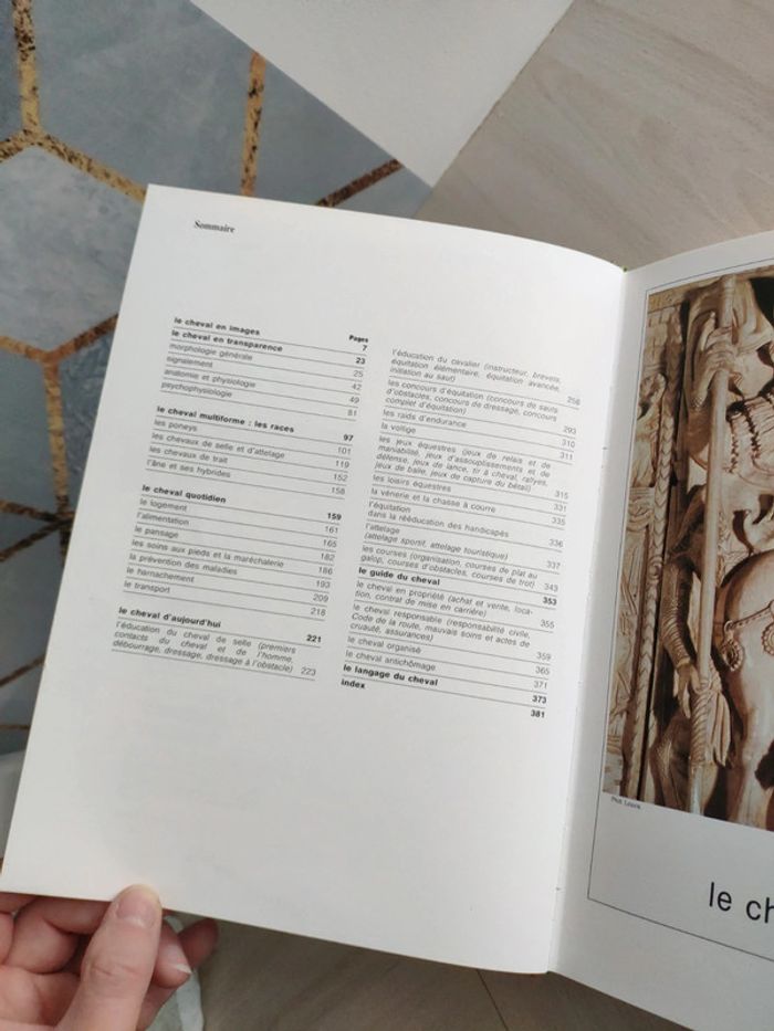 Livre Larousse le cheval Sevestre Rosier - photo numéro 9